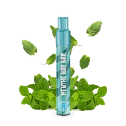 Starter Kit 800 Puffs 17mg - Wpuff 2.0 by Liquideo