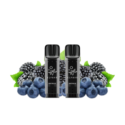 Cartouches Pré-Remplies Elfa Pro 20mg 2ml (2pcs) - Elfbar