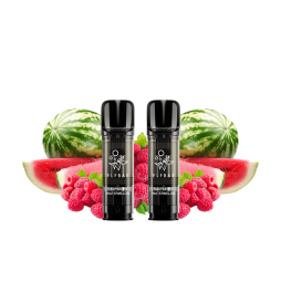 Pre-Filled Cartridges Elfa Pro 20mg 2ml (2pcs) - Elfbar