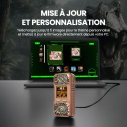 Mod Rayden 220 T-Rex Limited Edition - BD Vape