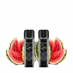 Cartouches Pré-Remplies Elfa Pro 20mg 2ml (2pcs) - Elfbar