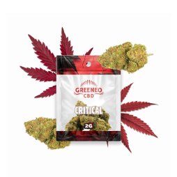 CBD Critical Flower 2g (1pc) - Greeneo