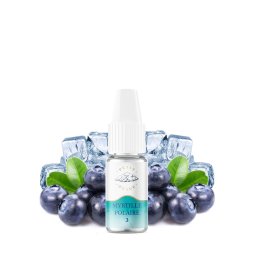 Myrtille Polaire 10ml - Petit Nuage