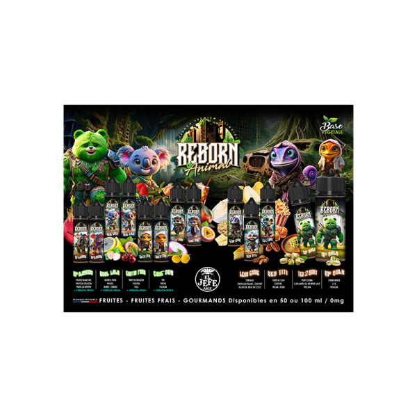 [PLV] Flyer - Reborn Animal