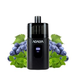 Starter Kit Myvo 30K 1300mAh 10ml / 8% - Adalya