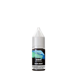 Gum Mint Nic Salt 20mg 10ml - Al Fakher