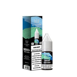 Grappe Mint Nic Salt 20mg 10ml - Al Fakher