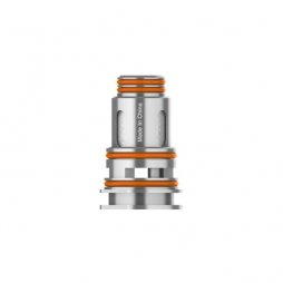 Mesh Coils P 0.2/0.4Ω (5pcs) - Geekvape