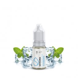 Iceberg - Savourea 10ml TPD READY