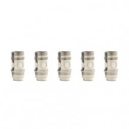 Résistance NI200 0.2 ohms Kangerm